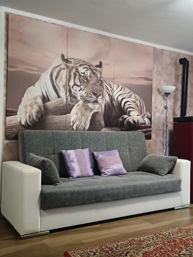 Tenuta Quadrone Cura di Vetralla Экстерьер фото